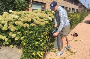best corded electric hedge trimmers