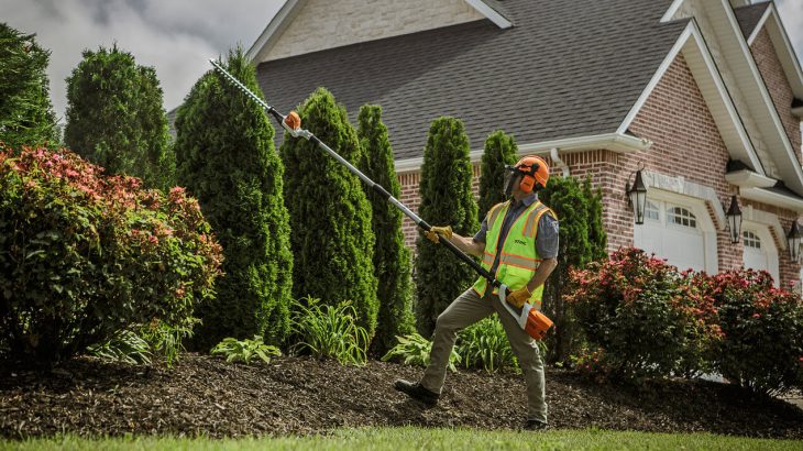 Best pole hedge trimmer