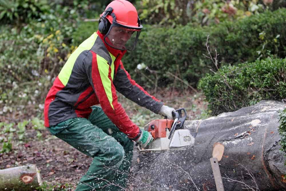 chainsaw safety tips