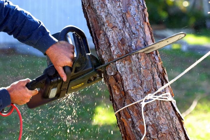corded electric chainsaw felling tree