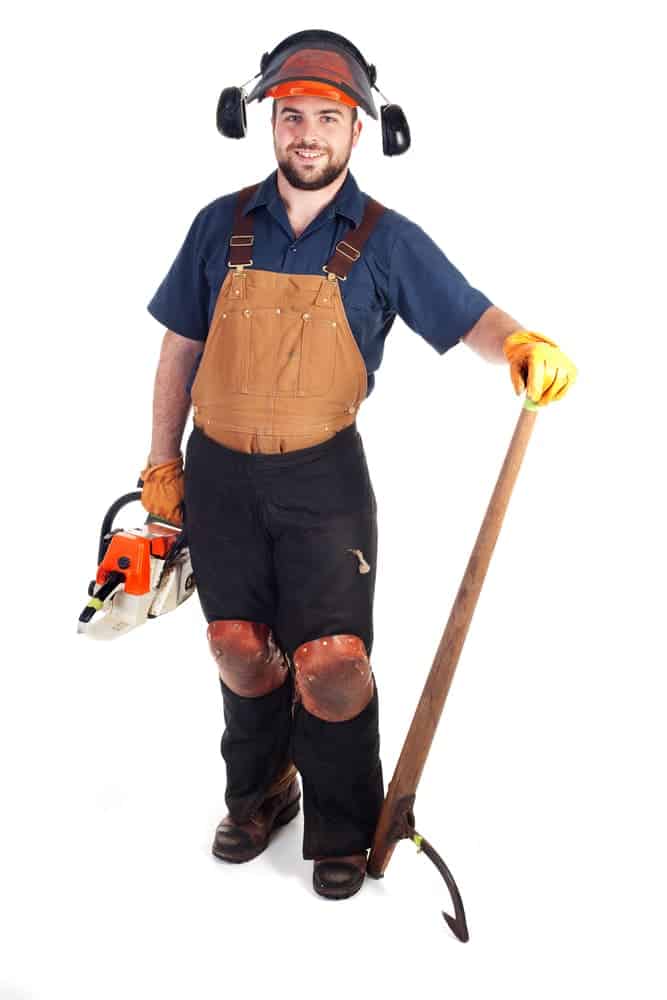 chainsaw safety ppe