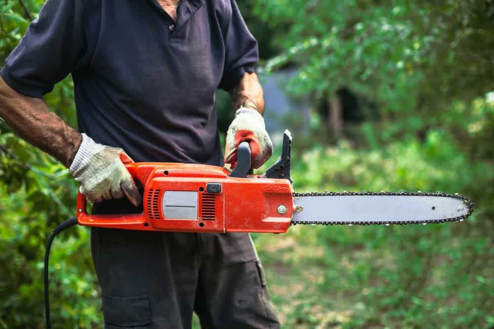 Best Electric Chainsaw Reviews (and Buying Guide) - ProGardenTips Best Electric Saw For Cutting Trees