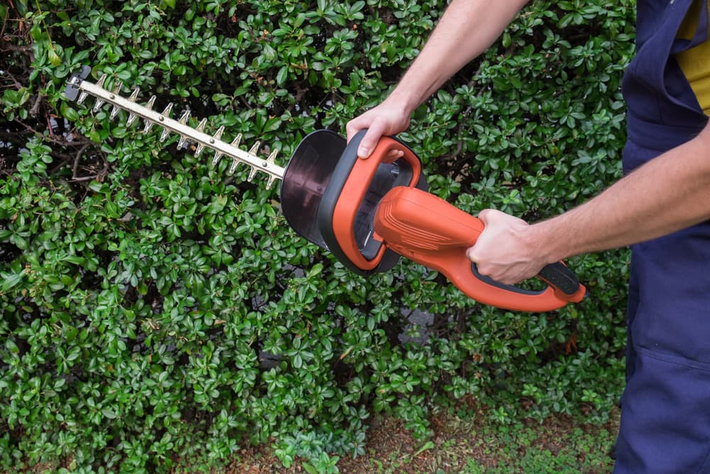 best hedge trimmer for small garden