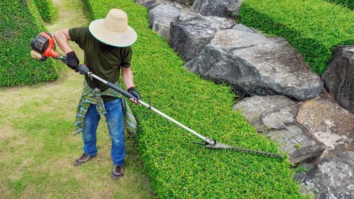 pole hedge trimmer reviews