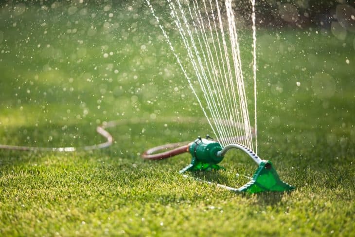 new lawn care watering is very important