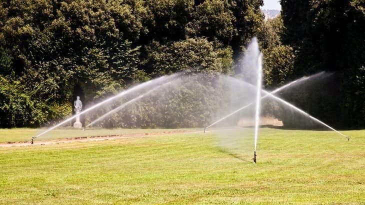 how to water your lawn the right way