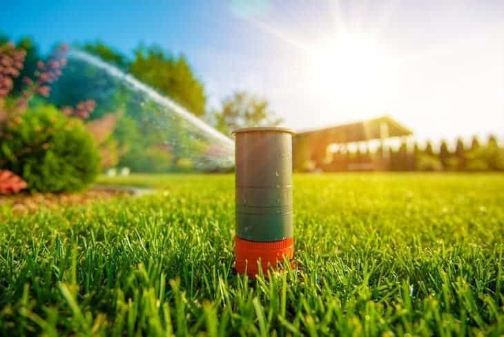 pop up sprinkler in lawn