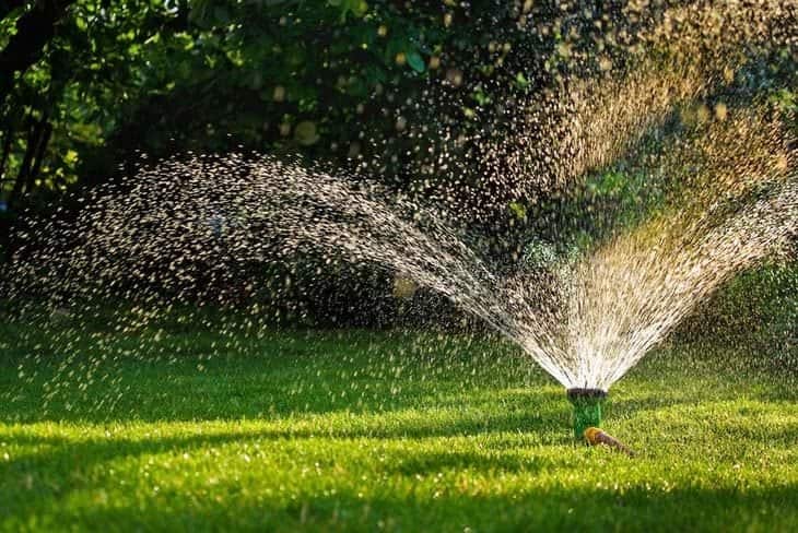 watering the lawn after winter