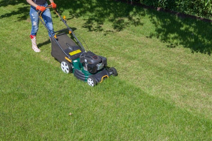 mowing stripes with the gas powered self propelled lawn mower
