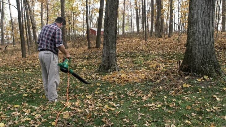 corded vs cordless leaf blowers