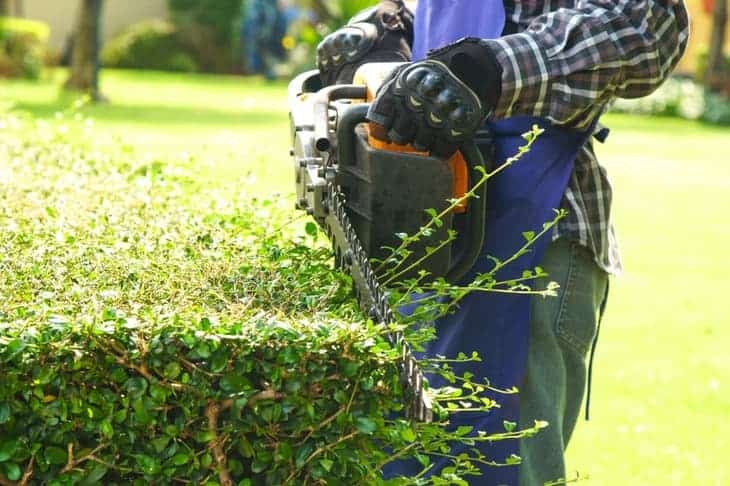 how to trim the side of the hedge
