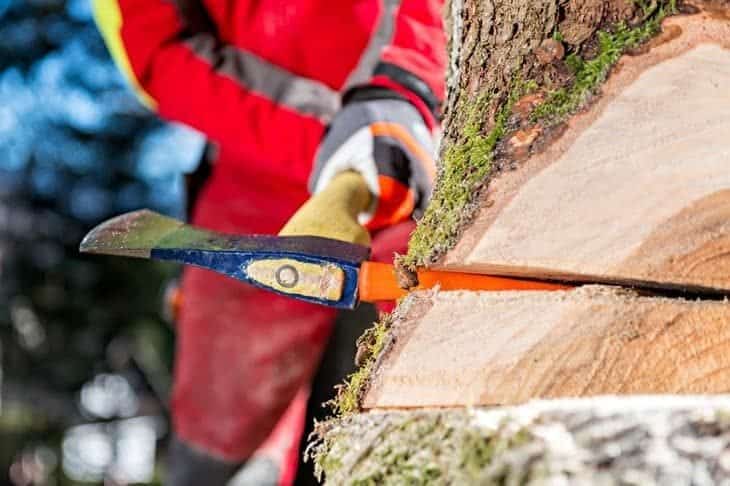use felling wedges whilst cutting down trees
