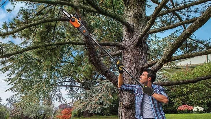 best cordless pole chainsaw reviews