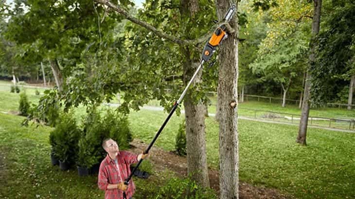 benefits of cordless pole chainsaws