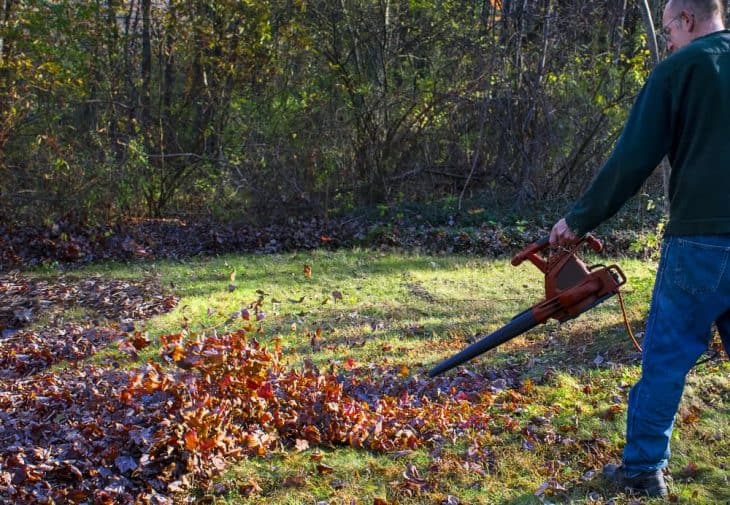collecting leaves from lawn