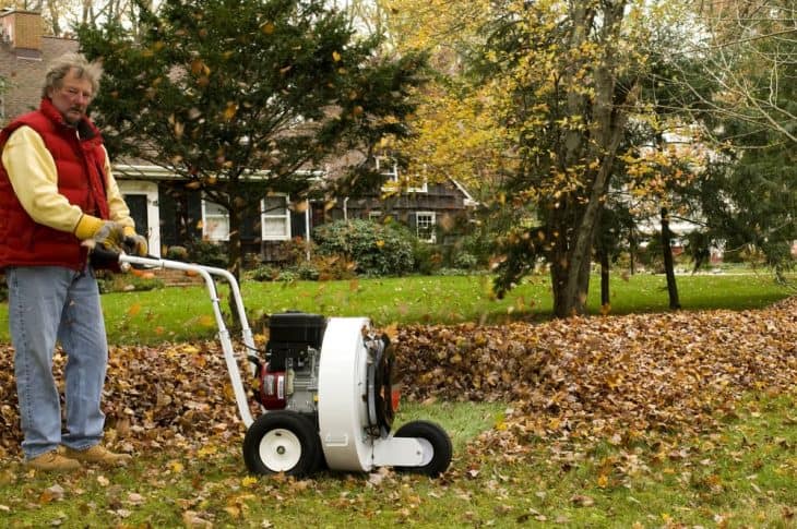 use a leaf blower to clear your yard