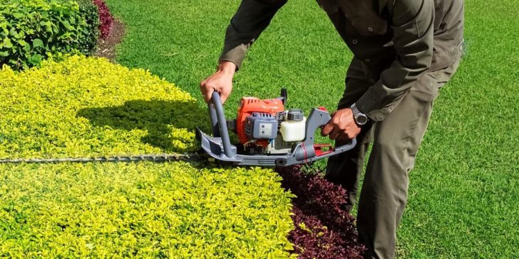 gas hedge trimmer buying guide