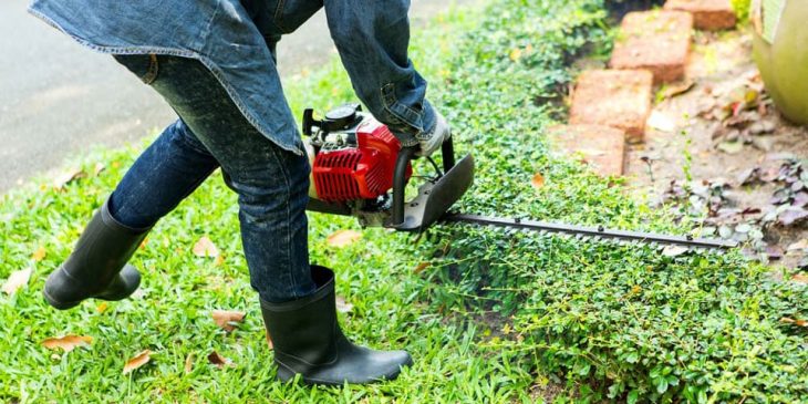 how to use a gas powered hedge trimmer safely