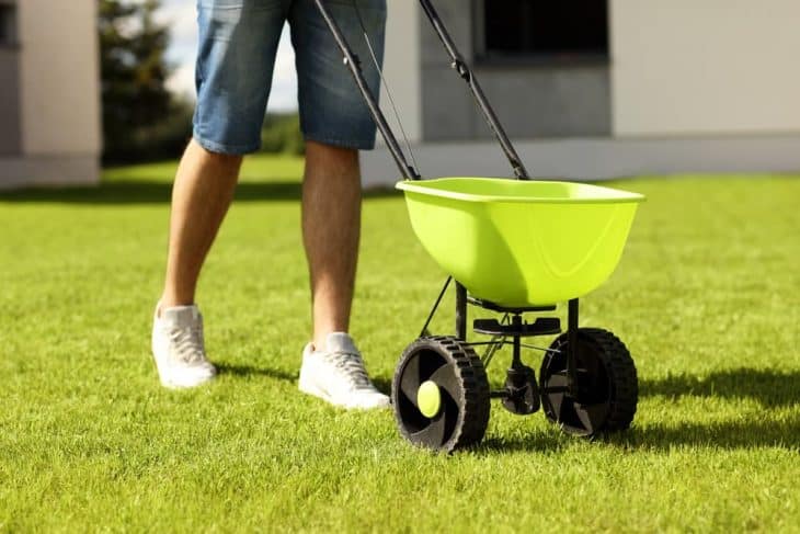 fertilize lawn before winter