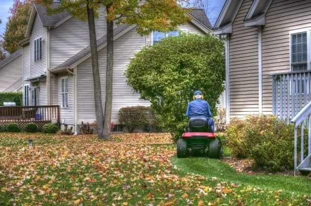 getting rid of leaves with lawn mower