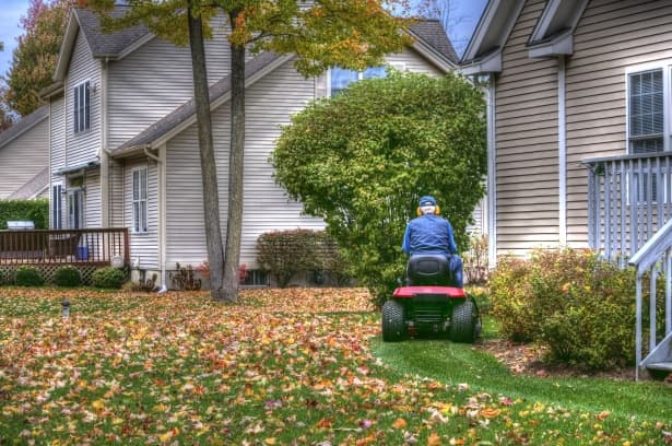 getting rid of leaves with lawn mower