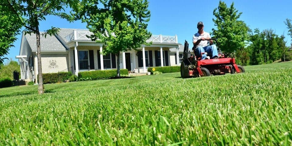 best lawn mower for big yard