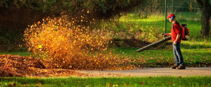 commercial backpack leaf blower reviews