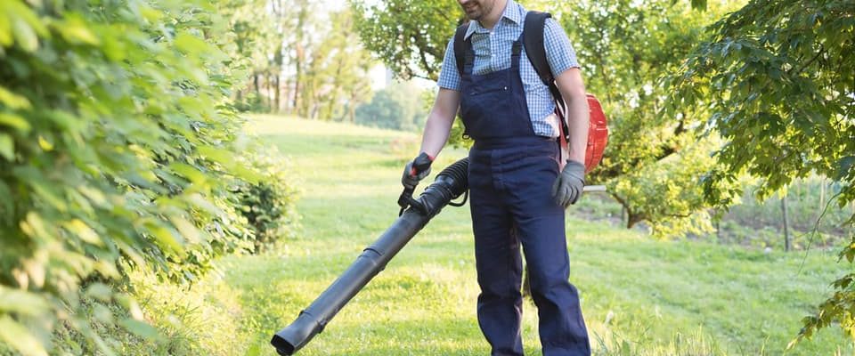 best commercial backpack leaf blower working in orchard