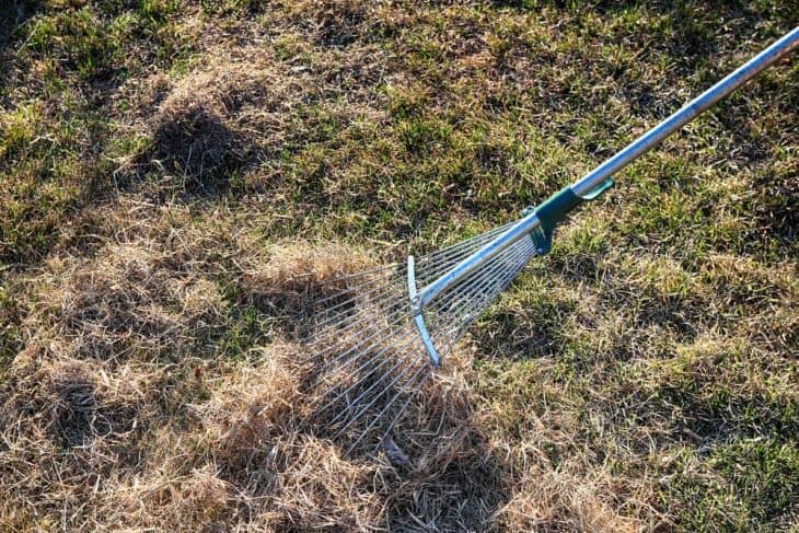 benefits of dethatching lawn