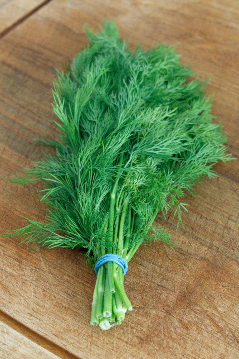 Dill
