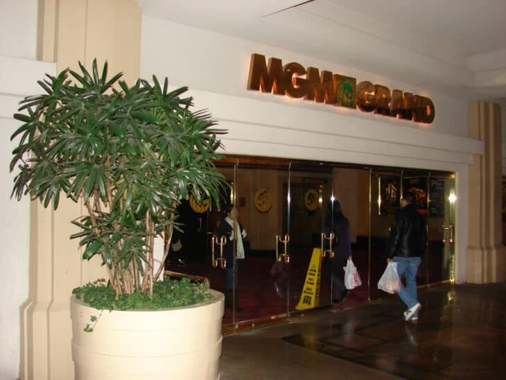 Bamboo Palm (Rhapis excelsa)