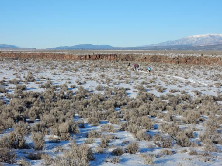 Big Sagebrush (Artemisia tridentata)