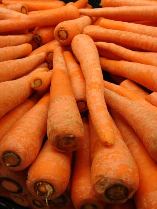 Carrot (Daucus carota subsp. sativus)
