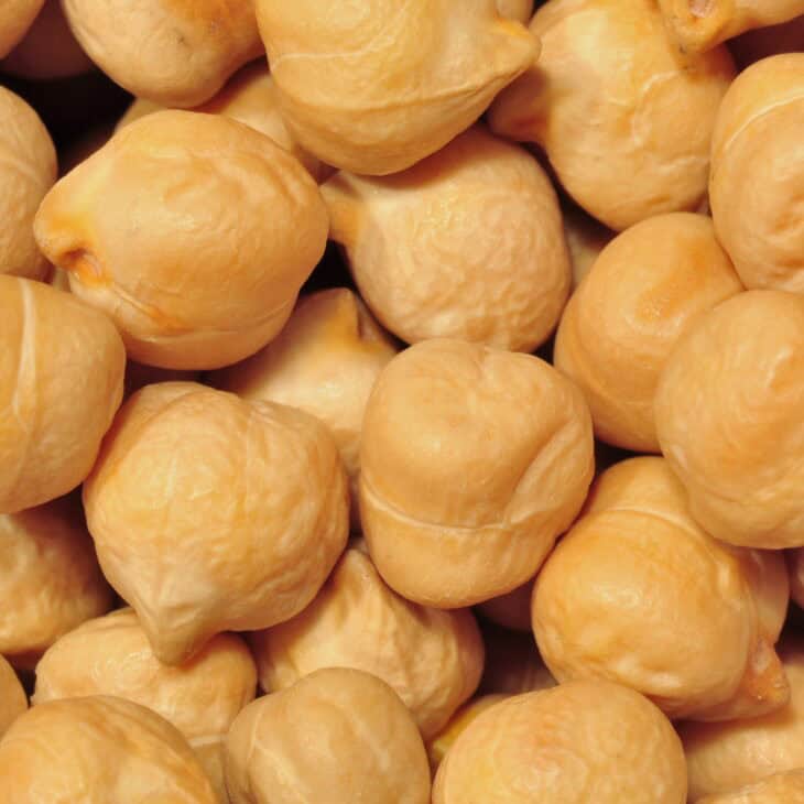 Chickpeas (Cicer arietinum)