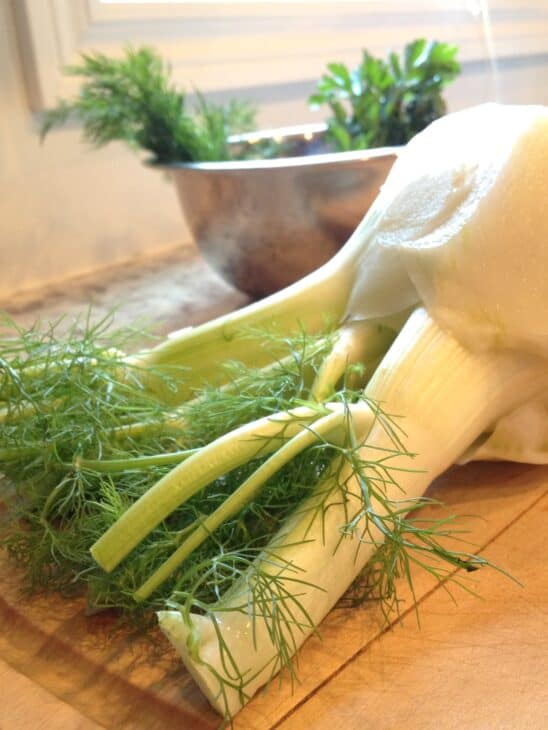 Fennel - Foeniculum vulgare