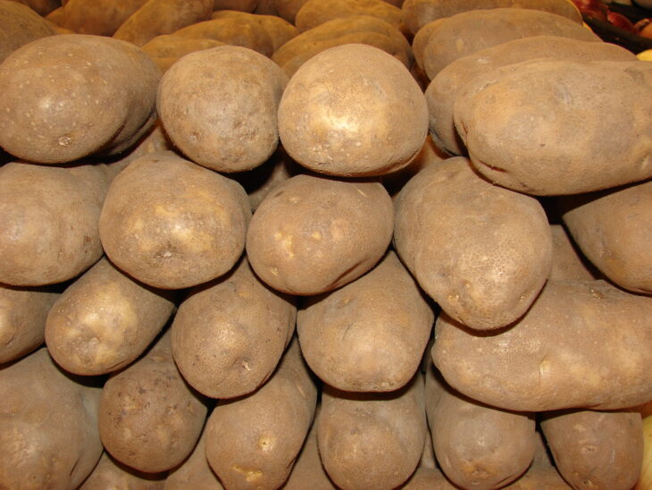 Potato - Solanum tuberosum