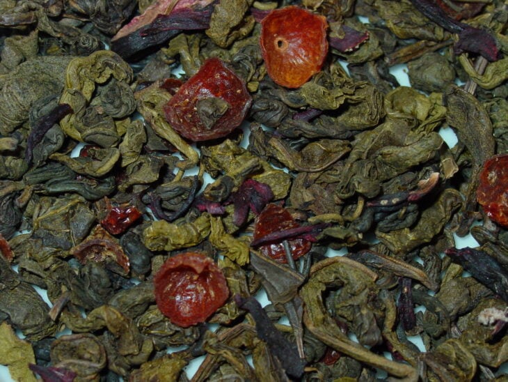 Tea Camellia - Camellia sinensis