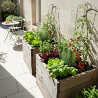 Raised Beds in a Small Courtyard