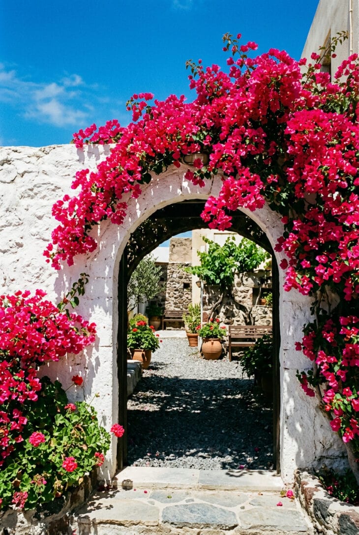 Whitewashed stone archway smothered in magenta bougainvillea against a deep blue sky