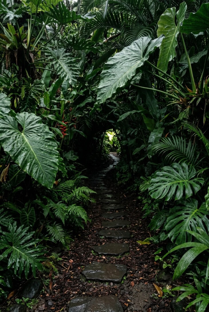 Narrow stepping stone path becoming a green tunnel as huge leaves close in overhead