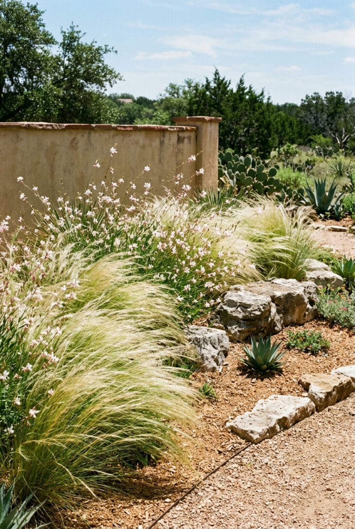 Fine blonde Mexican feather grass rippling in the wind with white gaura flowers among limestone boulders